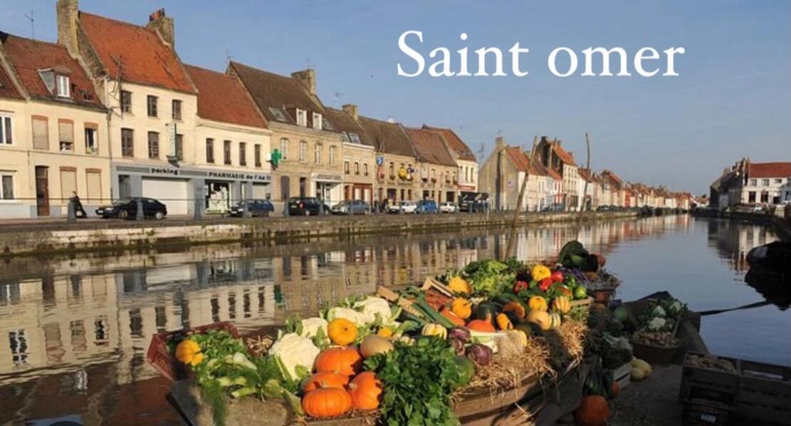 Le Clos Des Glycines Saint-Martin-Lez-Tatinghem Eksteriør billede